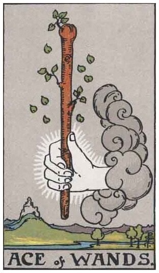 Ace of Wands