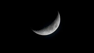 profile picture by Ici La Lune