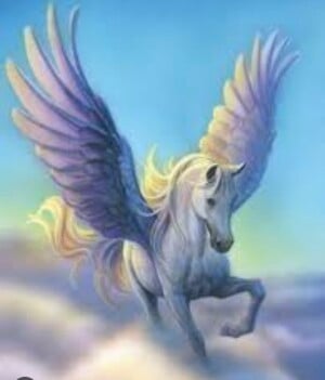 Pegasus reading