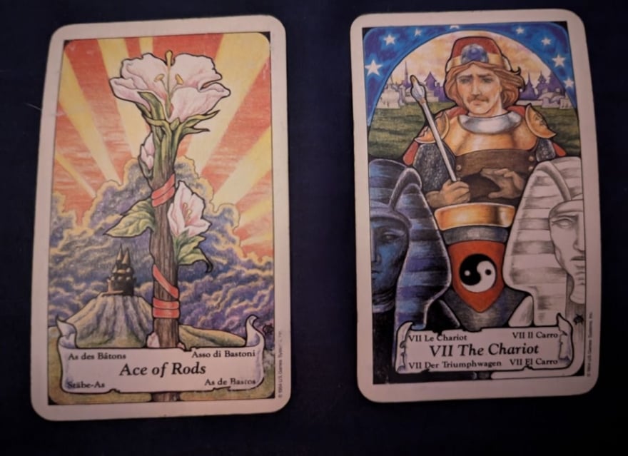 Should I reach out to T? - tarot reading by Michelle