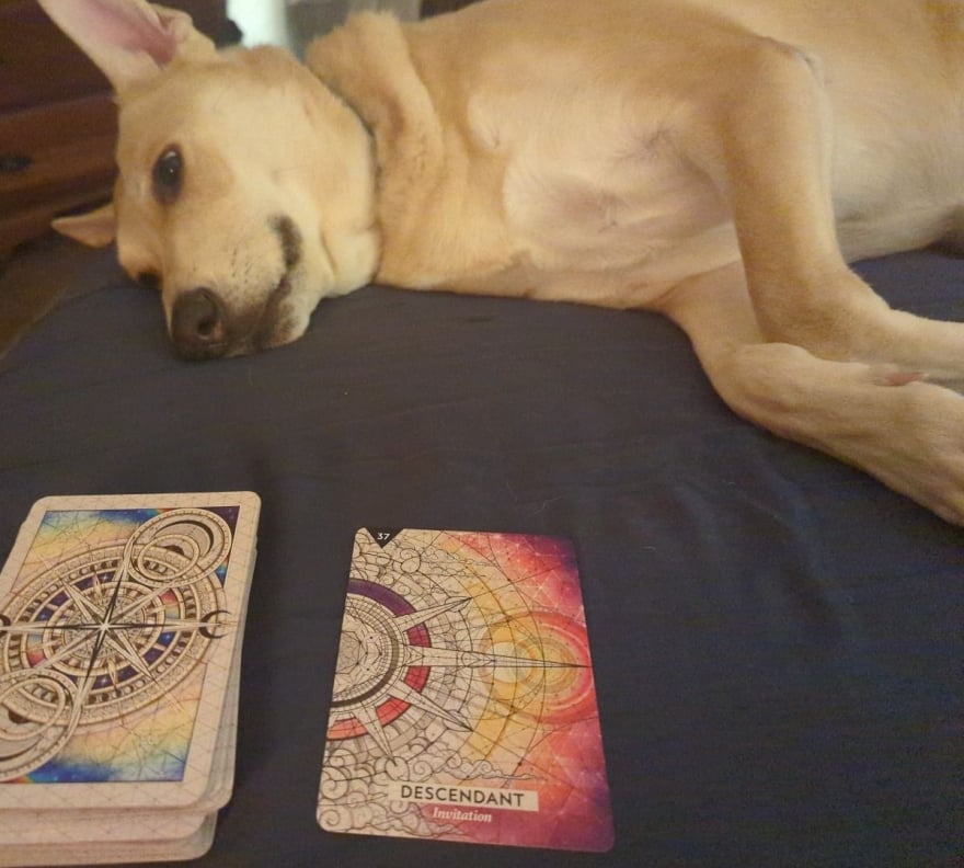 Daily Focus - tarot reading by Michelle