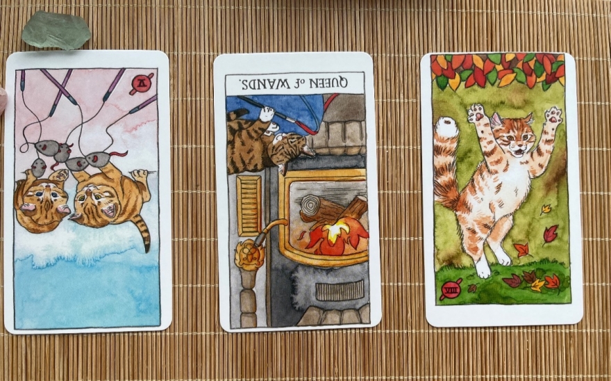 3 card daily self reflection - tarot reading by Claire