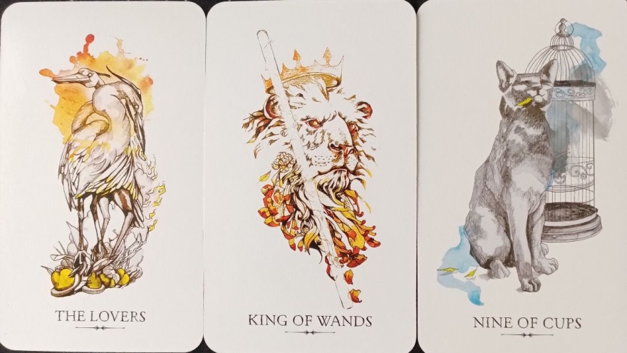 Daily Reading - tarot reading by Mandy