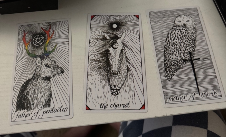 General Check-In (past, present, future) - tarot reading by Kelly