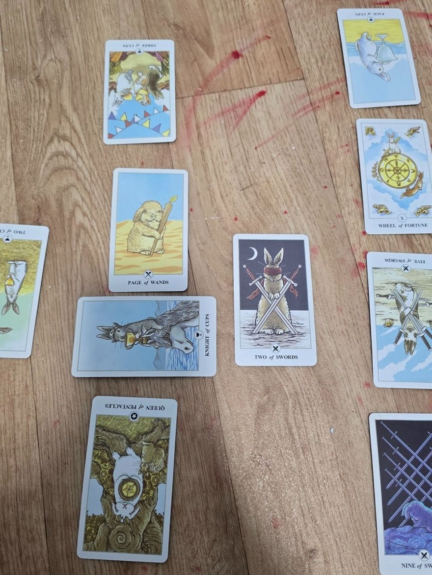 What do I need to focus on right now? - tarot reading by Fiona