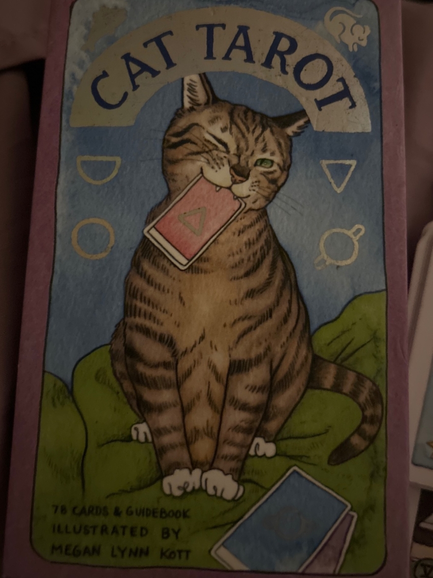 Should I call my Ex Joshua tonight and try to reconcile - tarot reading by July