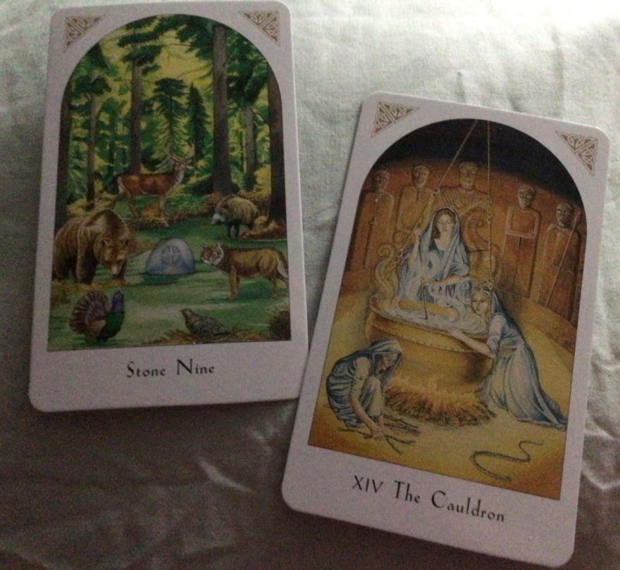 What do I need to know today? - tarot reading by m-c