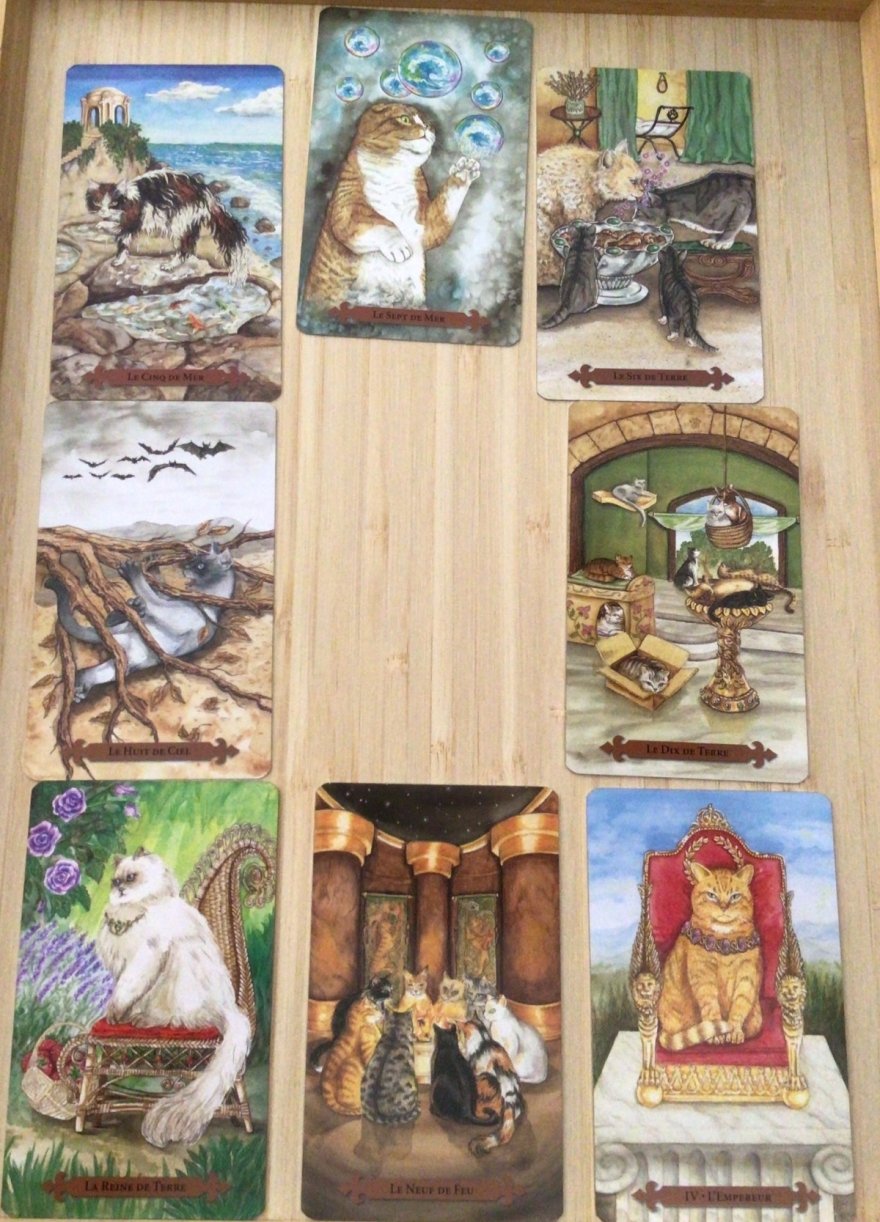 What do I need to know right now? - tarot reading by m-c