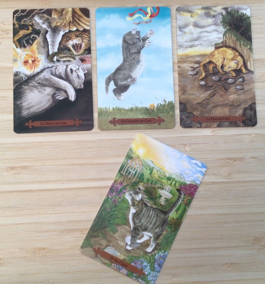 What do I need to know right now? using the mystical cats tarot - tarot reading by m-c