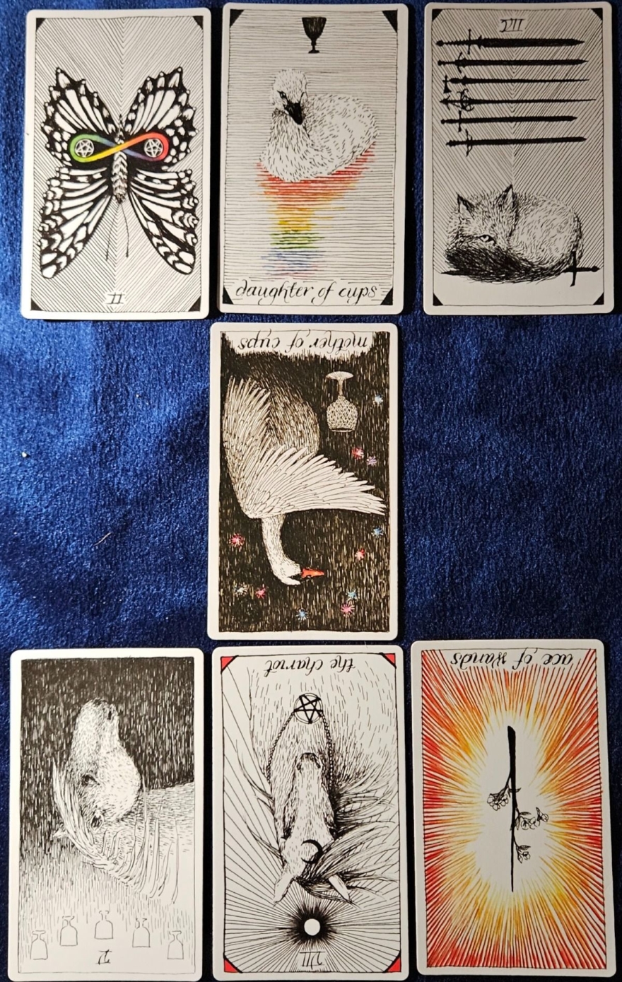 What is the energy of week 7 - tarot reading by Yohann