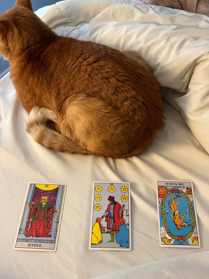 What have I learned from our past to continue in our present to help shape our future together. - tarot reading by Janice