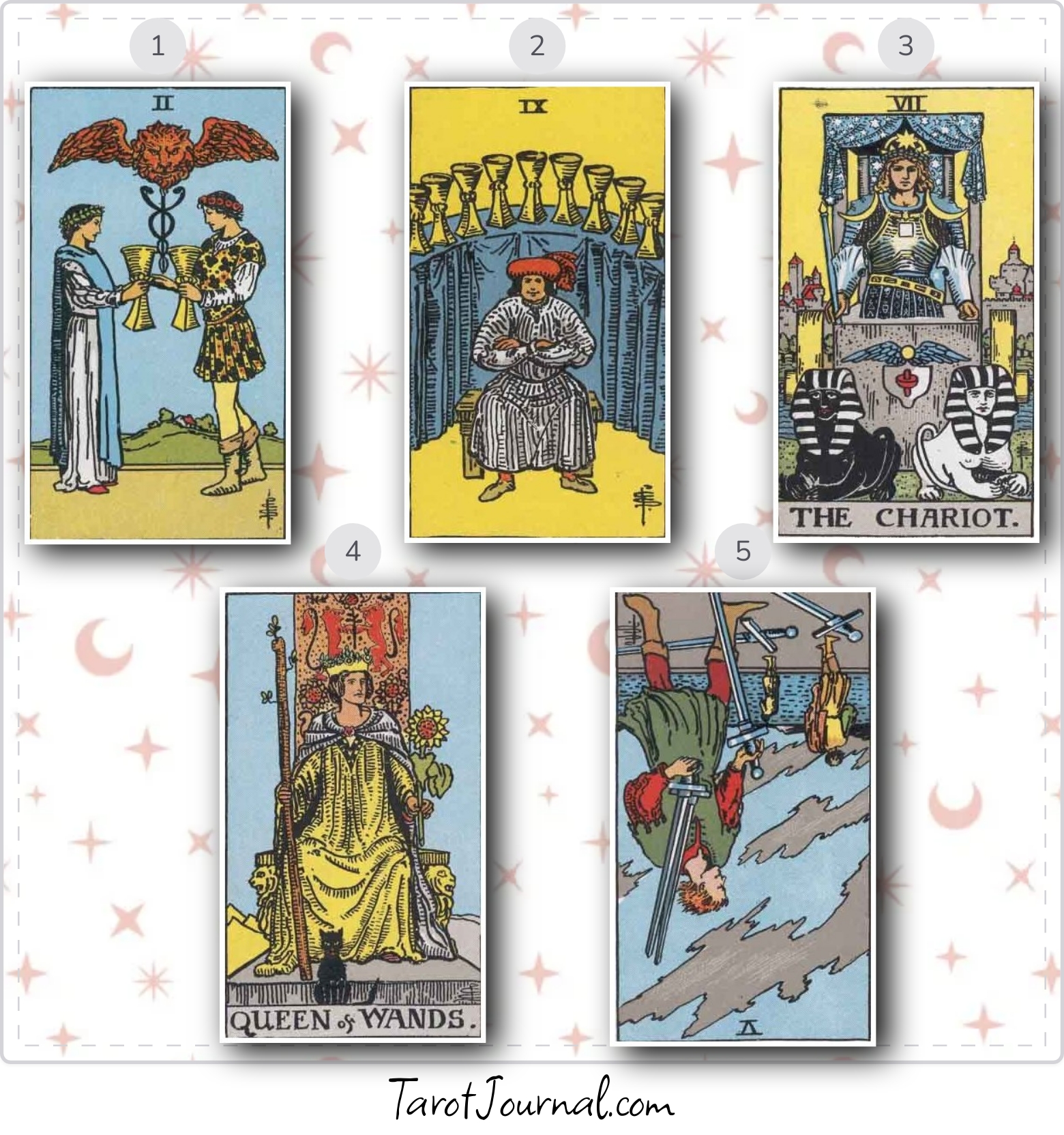 August 25, 2024, In Response to the Animal Card Reading From Today - tarot reading by Evelyn