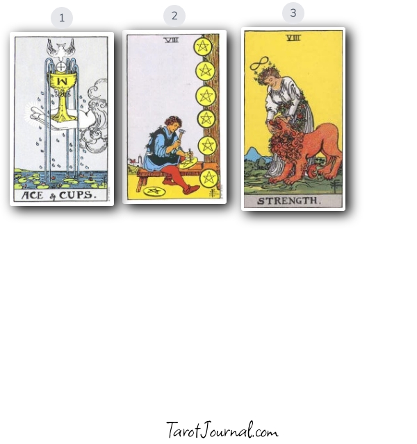 Other checking - tarot reading by Cissy